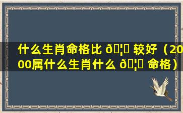 什么生肖命格比 🦆 较好（2000属什么生肖什么 🦈 命格）